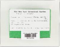 Image Associated With the Occurrence