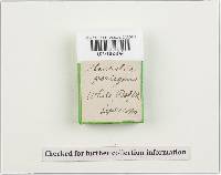 Image Associated With the Occurrence