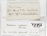 Image Associated With the Occurrence