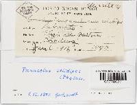 Image Associated With the Occurrence