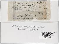 Image Associated With the Occurrence