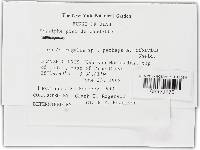 Image Associated With the Occurrence