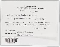 Image Associated With the Occurrence