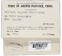 Image Associated With the Occurrence