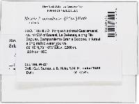 Image Associated With the Occurrence