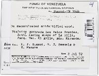 Image Associated With the Occurrence