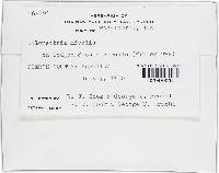 Image Associated With the Occurrence