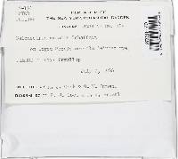 Image Associated With the Occurrence