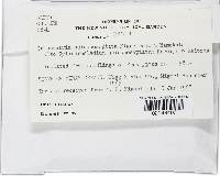 Image Associated With the Occurrence