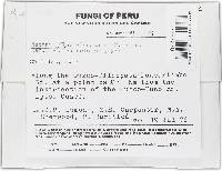 Lanatonectria flavolanata image