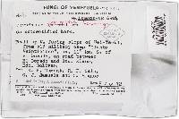 Thelonectria jungneri image