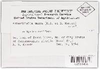 Image Associated With the Occurrence