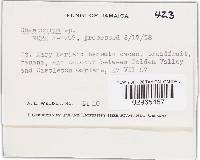 Image Associated With the Occurrence