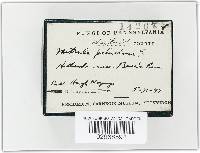 Image Associated With the Occurrence