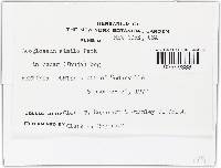 Image Associated With the Occurrence