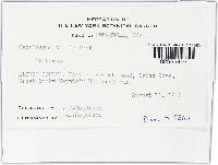 Image Associated With the Occurrence