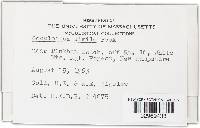 Image Associated With the Occurrence