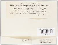 Image Associated With the Occurrence