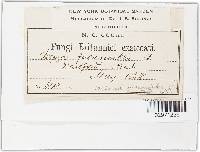 Image Associated With the Occurrence