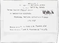 Image Associated With the Occurrence