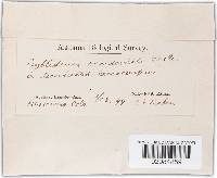 Image Associated With the Occurrence