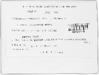 Image Associated With the Occurrence