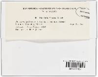 Image Associated With the Occurrence