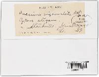 Image Associated With the Occurrence