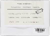 Image Associated With the Occurrence