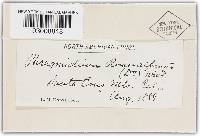 Image Associated With the Occurrence