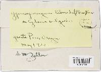 Thumbnail image of current specimen