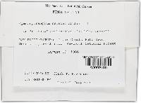 Image Associated With the Occurrence