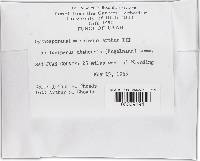 Image Associated With the Occurrence