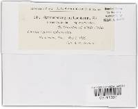 Image Associated With the Occurrence