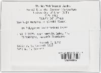 Image Associated With the Occurrence