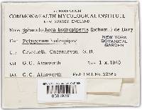 Image Associated With the Occurrence