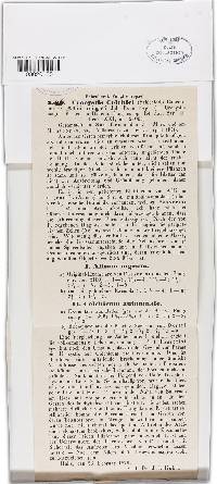 Image Associated With the Occurrence