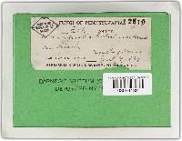 Image Associated With the Occurrence