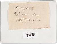 Image Associated With the Occurrence