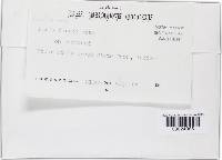 Image Associated With the Occurrence