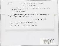 Image Associated With the Occurrence