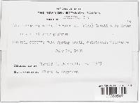 Image Associated With the Occurrence