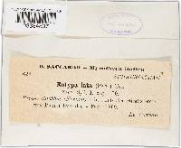 Image Associated With the Occurrence