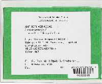 Image Associated With the Occurrence