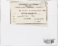 Image Associated With the Occurrence