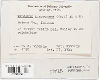 Image Associated With the Occurrence