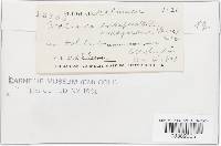 Image Associated With the Occurrence