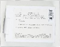 Xylaria telfairii image