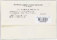 Image Associated With the Occurrence