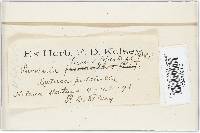 Image Associated With the Occurrence